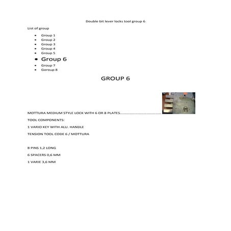 Double bit locks  group 6