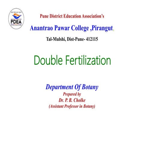Double fertilization