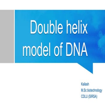 Double helix model of dna (kailash)