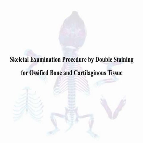 Double staining | PPTX