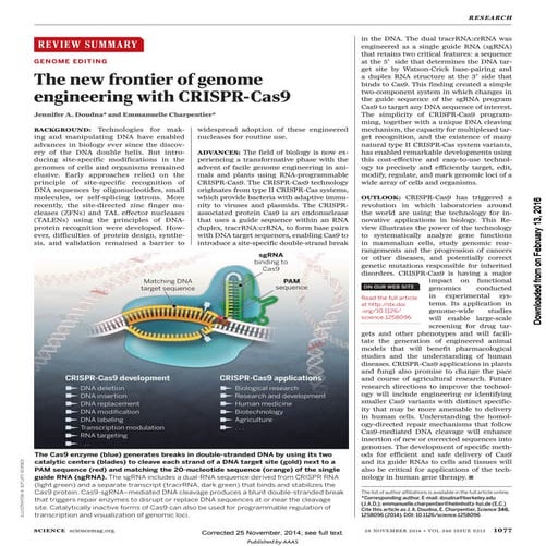 Doudna and-charpentier