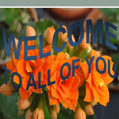  ecn-04 salma akhter mam