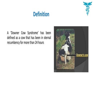 Downer cow syndrome