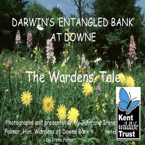 Darwin and Downe Bank: The Wardens' Tale