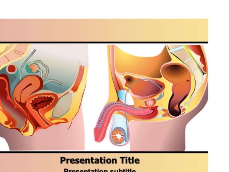 prostate cancer powerpoint presentation Prostate cancer: early detection, monitoring and prognosis: essex.