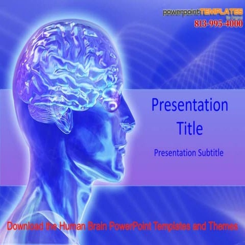 Download the human brain powerpoint templates and themes | PPTX