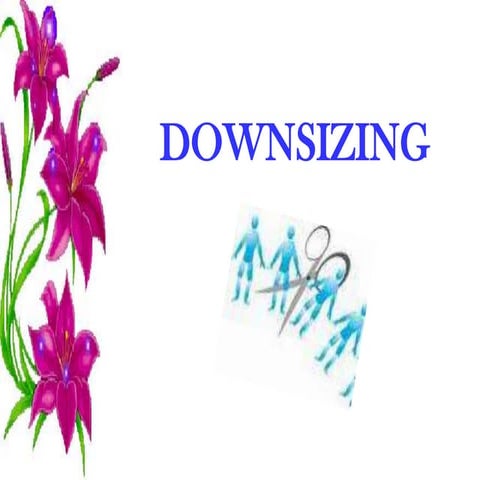 Downsinzing