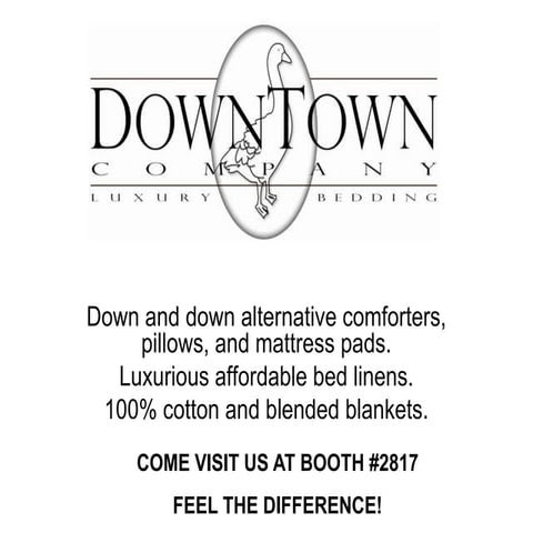 Downtown presentation