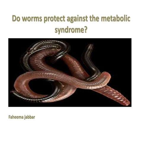 Do worms protect against MetS (4).pptx