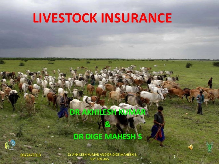 Livestock insurance