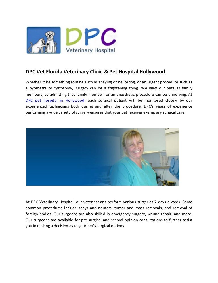 hollywood pet clinic