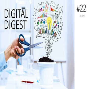 Daily Profit Digest №22