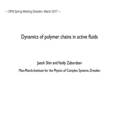 Dpg polymer dynamics in active-fluid-2017-march.20