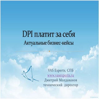 DPI платит за себя : актуальные биз...