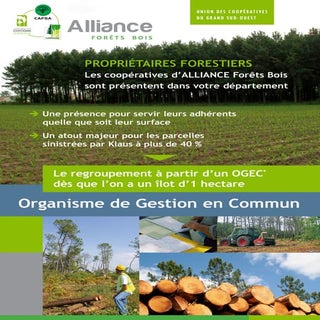 Dépliant ogec alliance