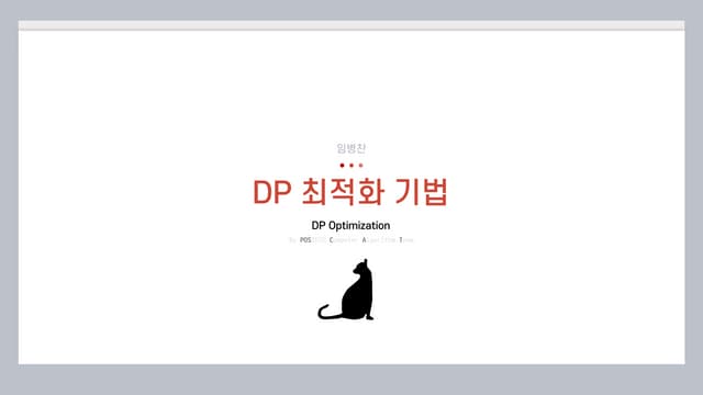 DP Optimization