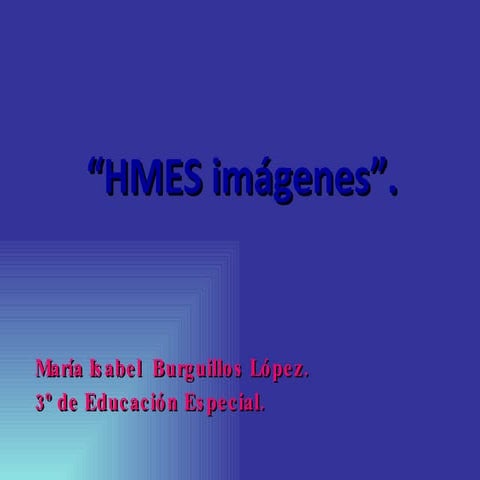 Presentación HMES.