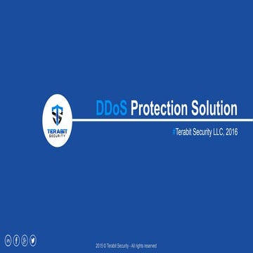 DDoS Protection System DPS