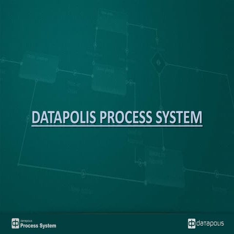Datapolis Process System | PDF