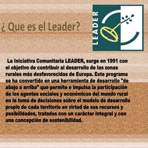 Dpt  leader1