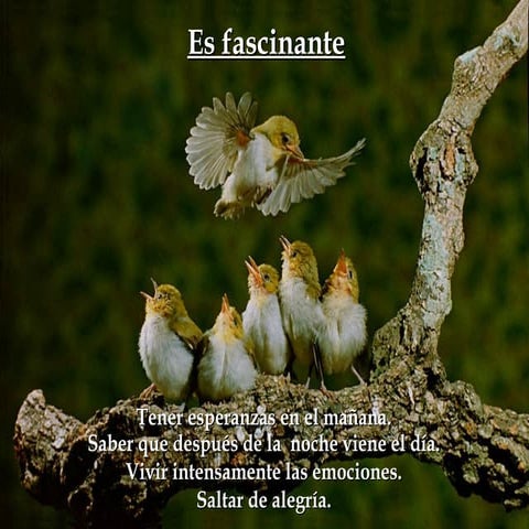 Es fascinante