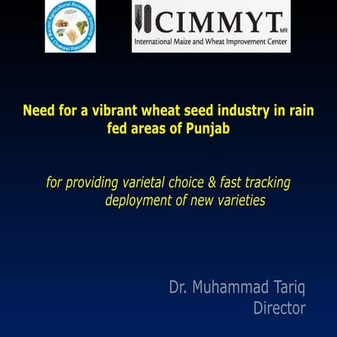 Need for a vibrant wheat seed industry in dryland areas of Punjab 