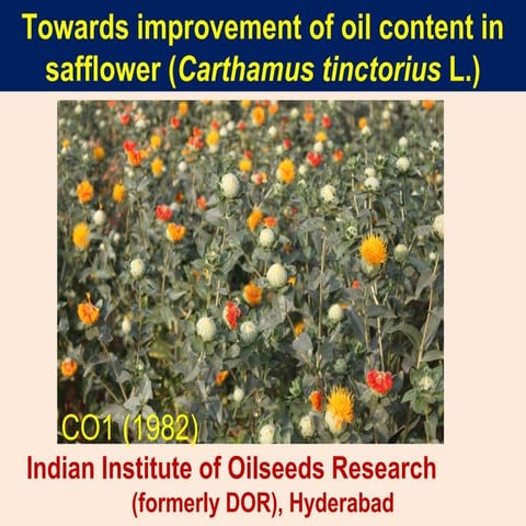 Towards improvement of oil content in safflower (Carthamus tinctorius L.)