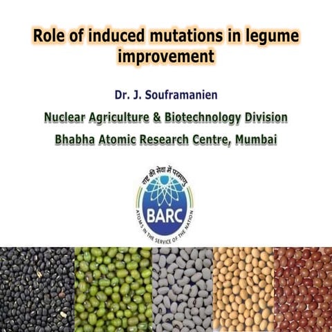 Role of induced mutations in legume improvement-Dr.Souframanien