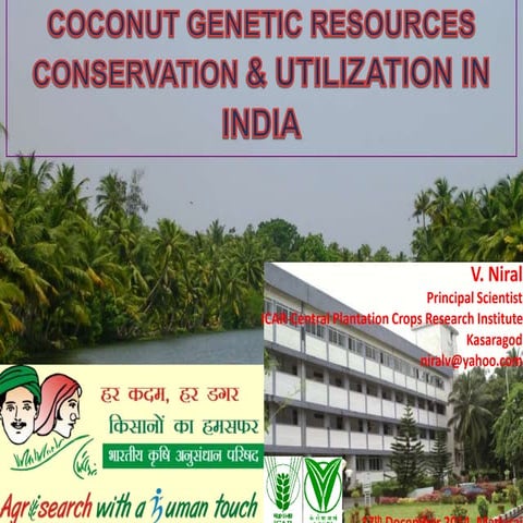 COCONUT GENETIC RESOURCES CONSERVATION & UTILIZATION IN INDIA