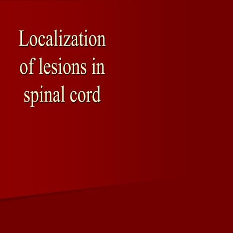 localization spinal cord 