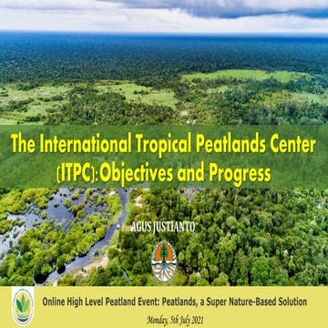 The International Tropical Peatlands Center (ITPC): Objectives and Progress
