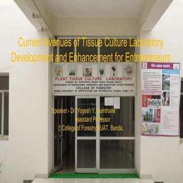 Dr. Yogesh Sumthane Assistant Professor College of Forestry Banda University ...