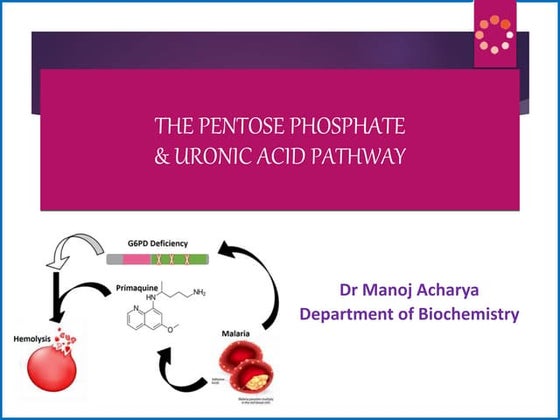 PENTOSE PHOSPHATE PATHWAY | PPT | Endocrine and Metabolic Diseases ...