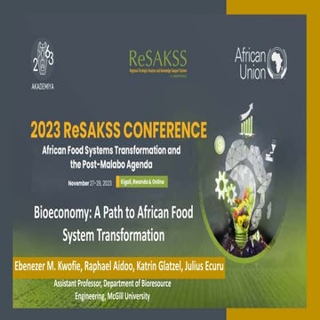 Dr. Ebenezer M. Kwofie - 2023 ReSAKSS Conference.pptx