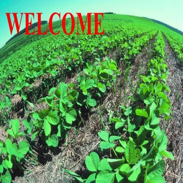 Recent Advances in Conservation Agriculture and Future Prospectives BY MAHEND...