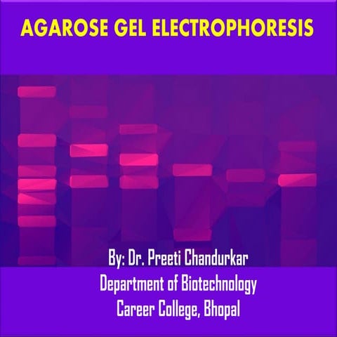 Dr. Preeti Chandurkar ppt on Agarose gel electrophoresis.pdf