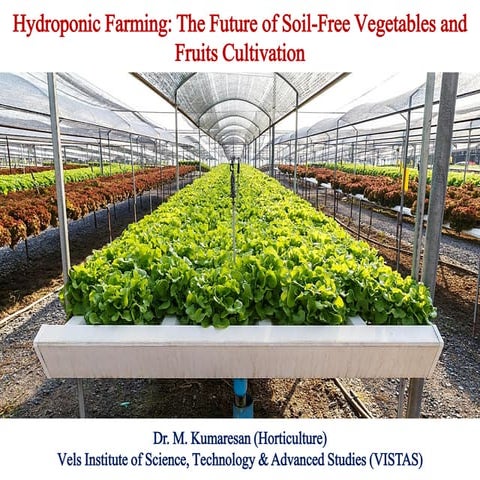 Hydroponics and Terrace Gardening – Sustainable Urban Farming