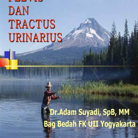Dr.adam trauma urologi dan pelvis as | PPT