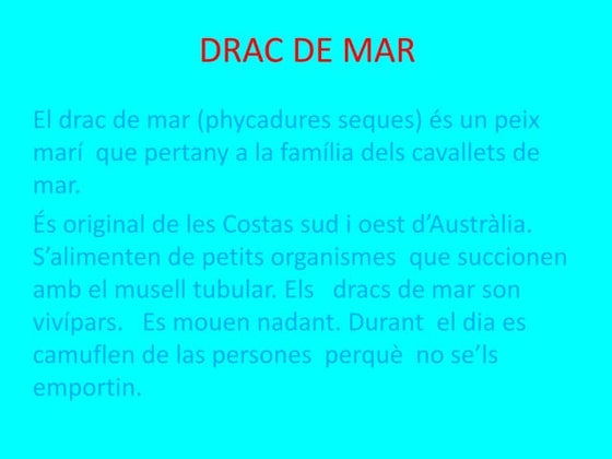Drac blau de mar | PPTX
