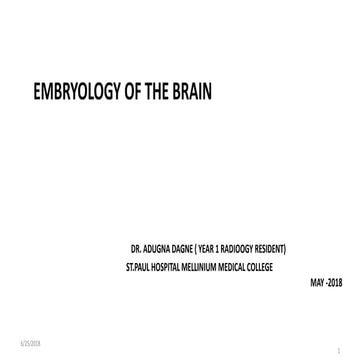 embryology of brain