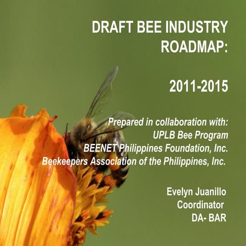 bee industry roadmap