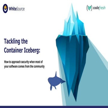 Tackling the Container Iceberg: How to Approach Security When Most of Your So...