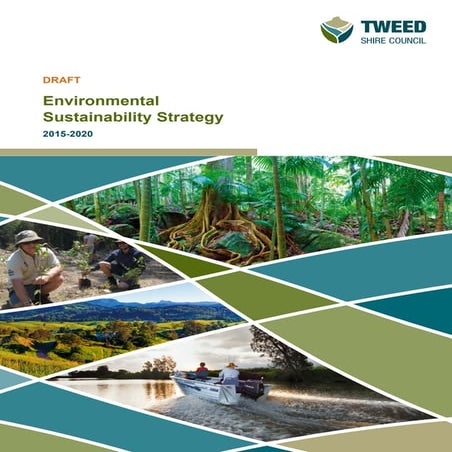 Draft Environmental Sustainability Strategy