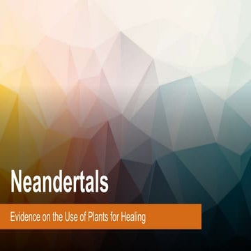 Neandertals - Final Presentation