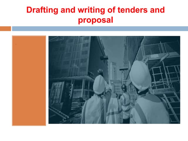 Drafting and writing of tenders and proposal