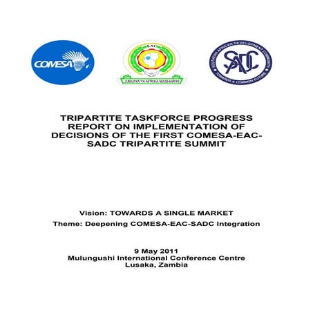 COMESA Draft task force_progress_rep_impl_decisions_1st_summit