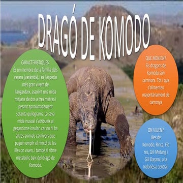 Dragó de comodo | PPTX