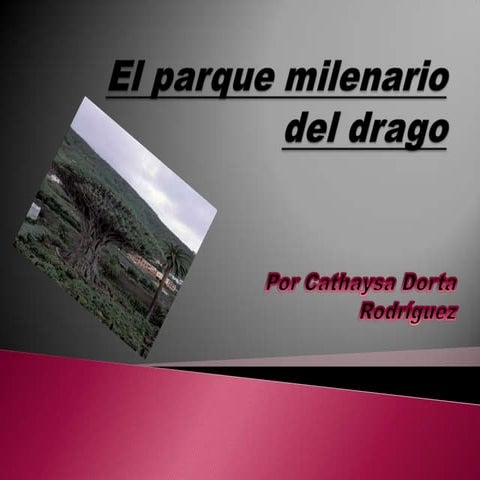 Drago milenario