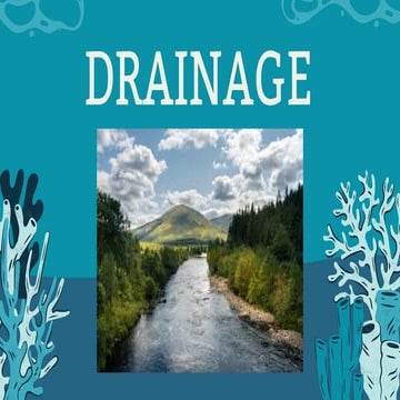 drainage cbse ncert geography ch - 4 .pdf