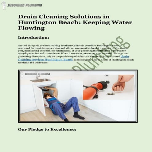 Step-by-Step Guide to Effective drain cleaning services Huntington ...